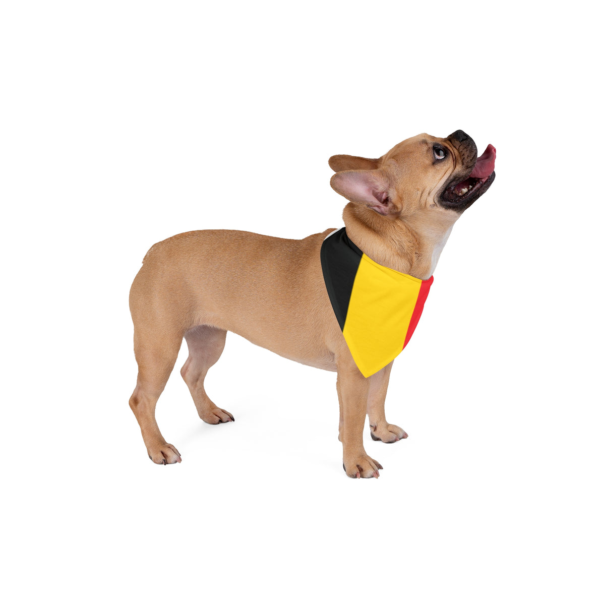 Pet Bandana Belgium