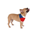 Pet Bandana Czech Republic