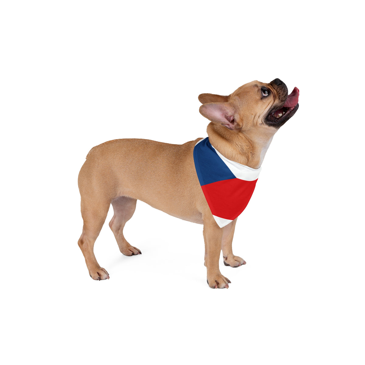 Pet Bandana Czech Republic
