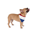 Bandana pour animal de compagnie Pays-Bas