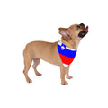 Bandana pour animal de compagnie Slovénie