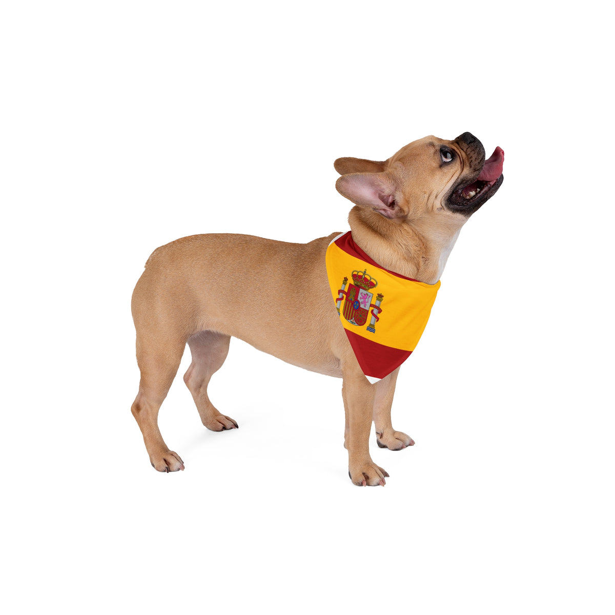 Pet Bandana Spain