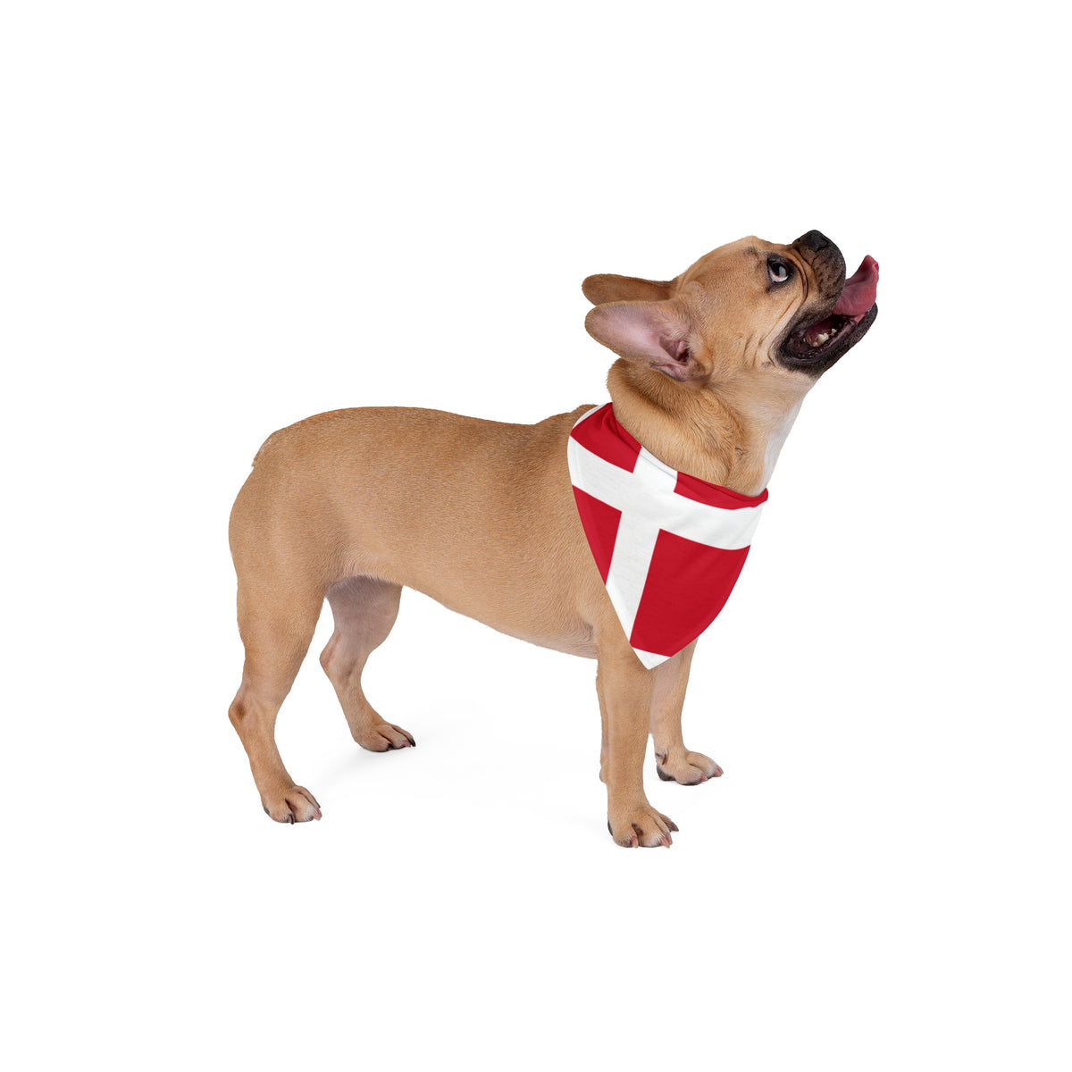 Pet Bandana Denmark