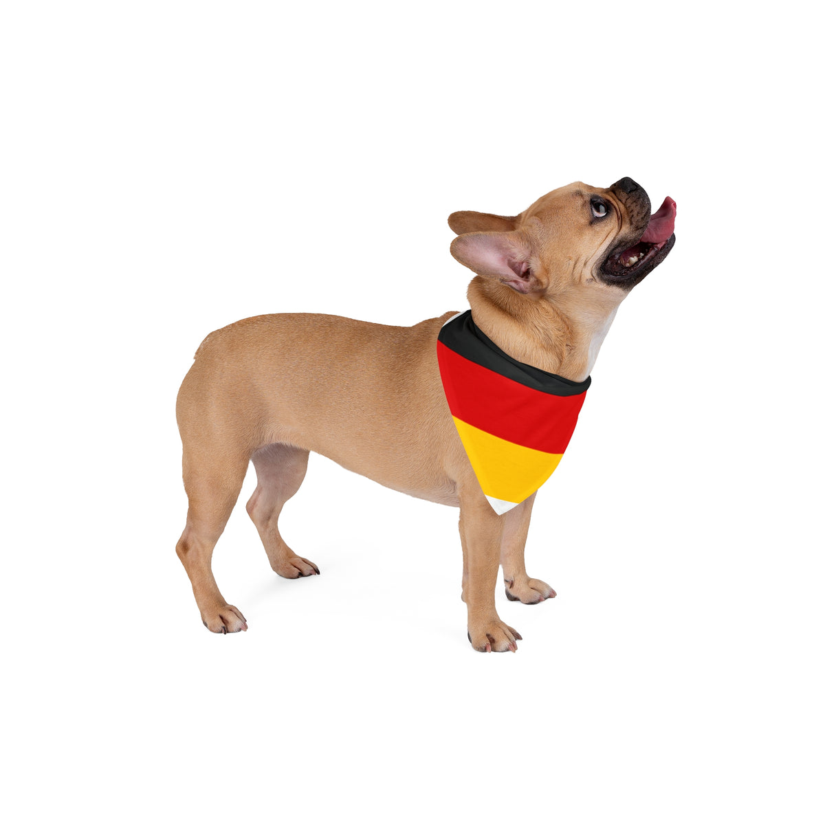 Pet Bandana Tyskland