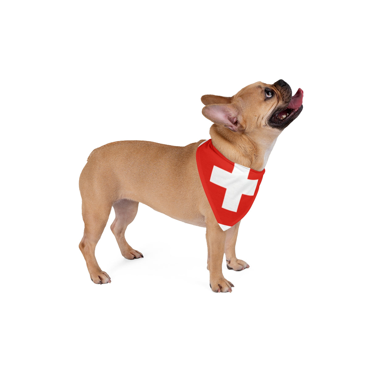 Pet Bandana Switzerland