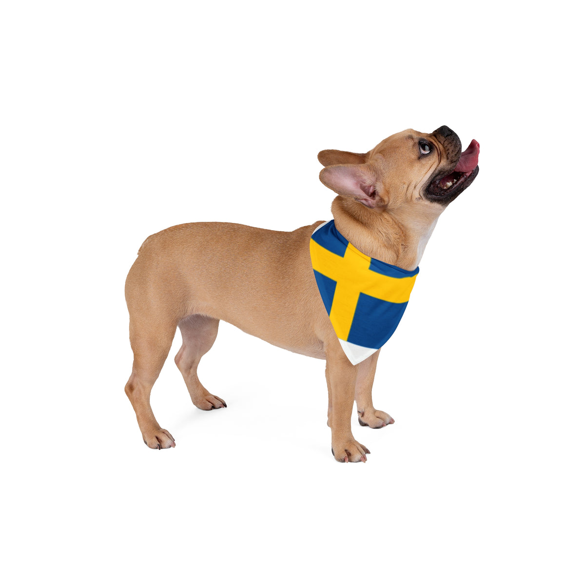 Pet Bandana Sweden