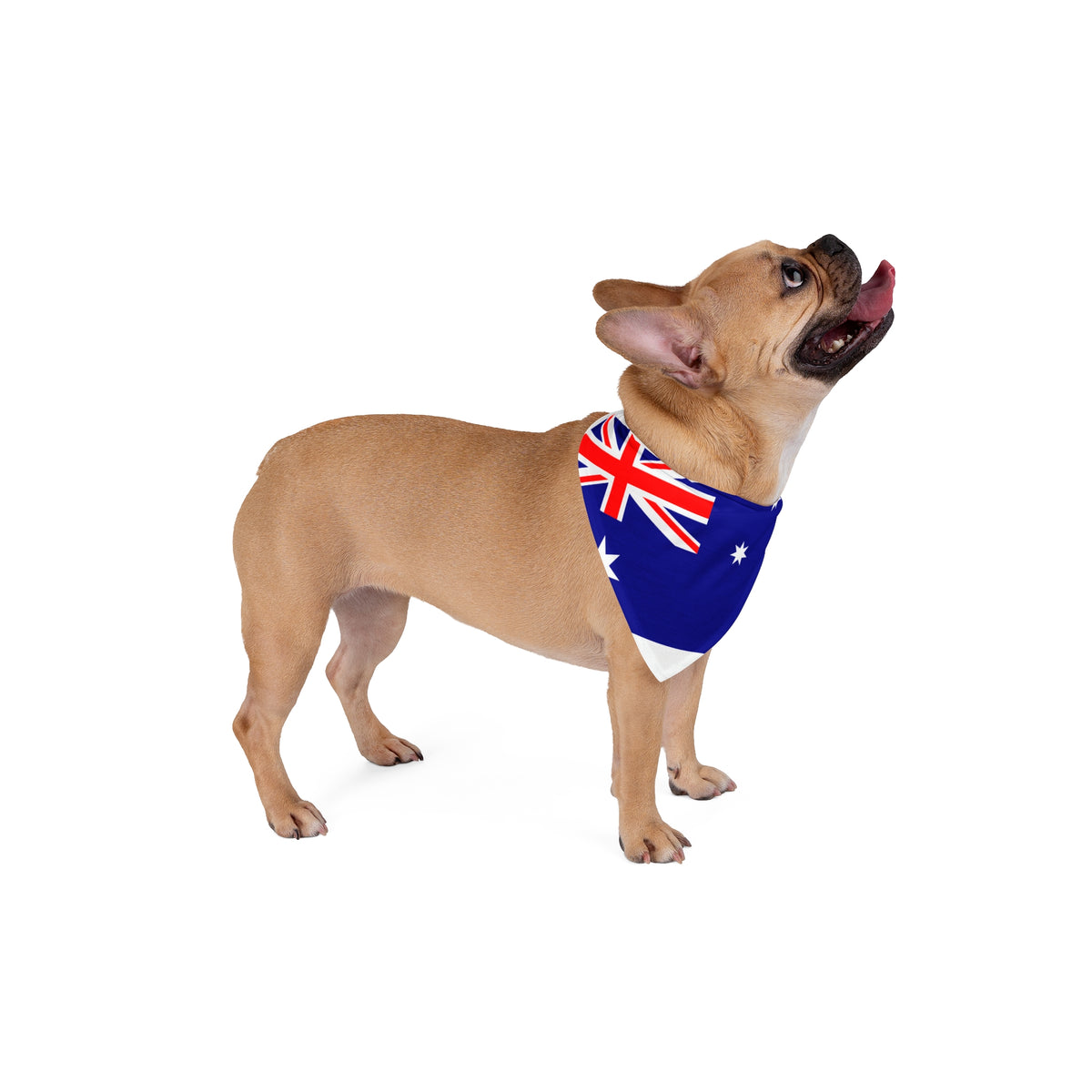 Pet Bandana Australia