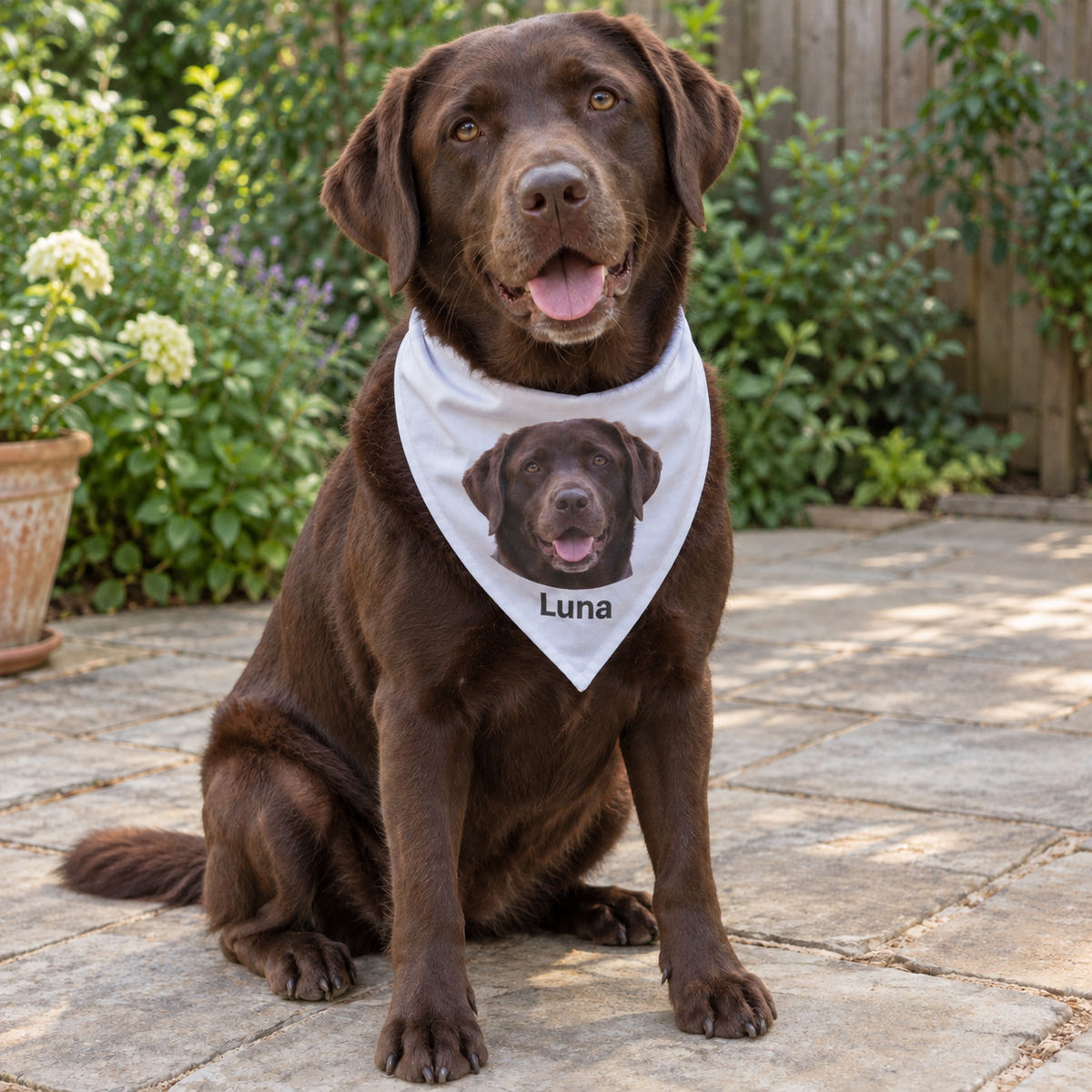 Customizable Pet Bandana