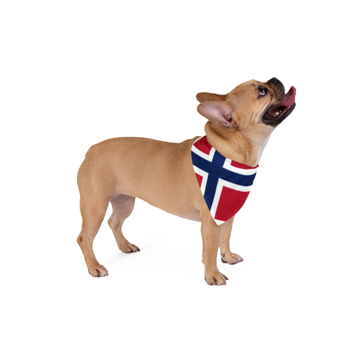 Pet Bandana Norway