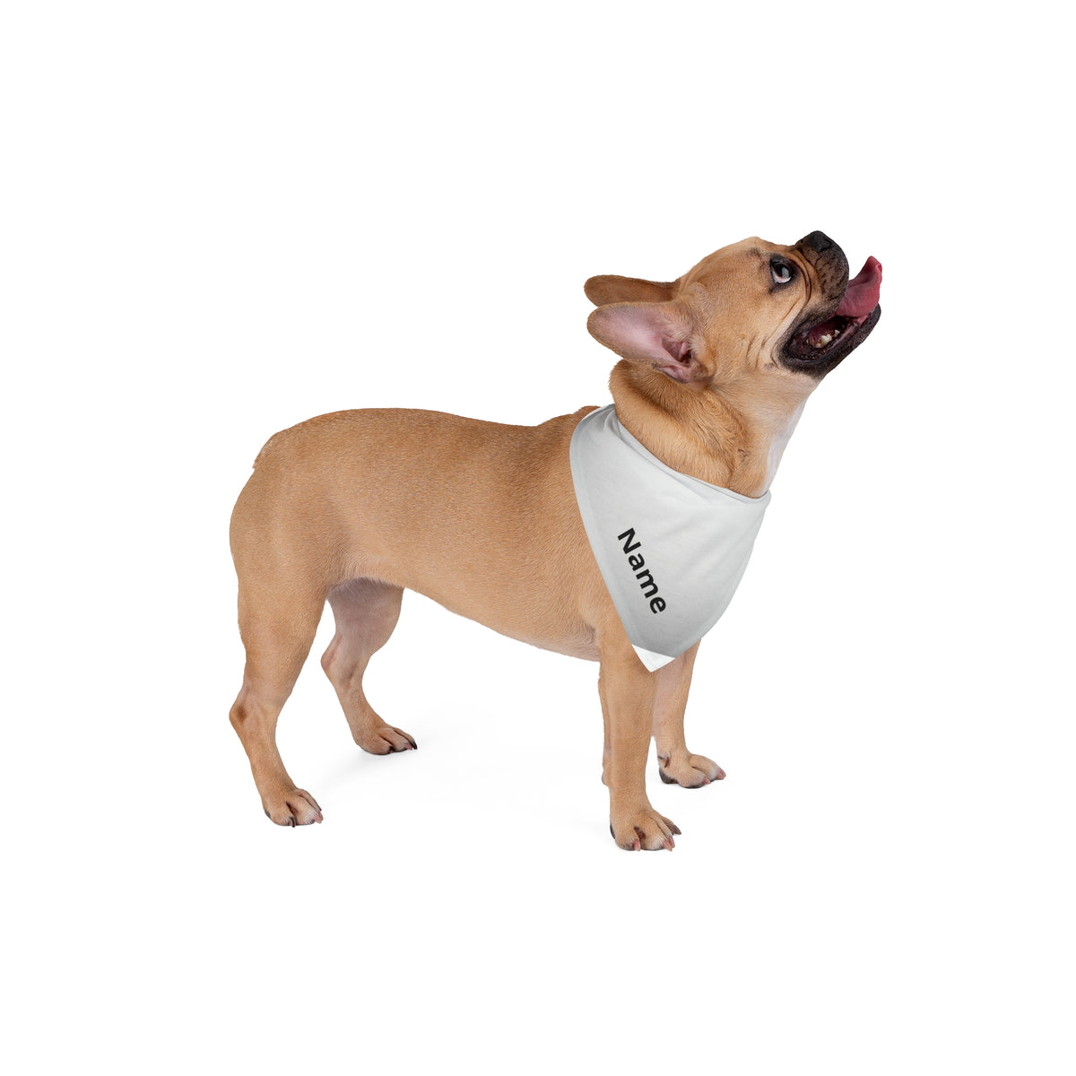 Customizable Pet Bandana