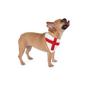 Bandana pour animal de compagnie Angleterre