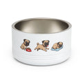 Pug Bowl
