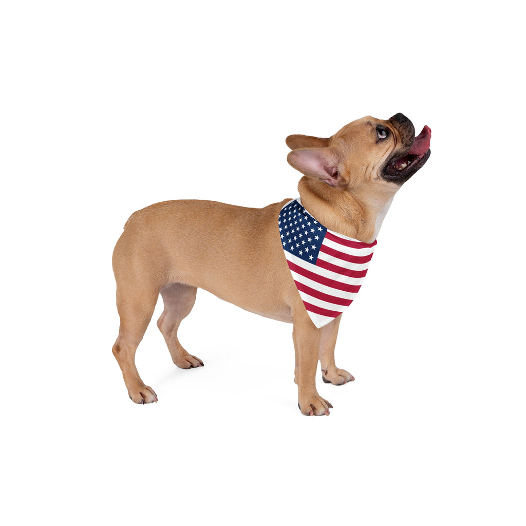 Bandana pour animal de compagnie USA