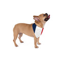 Pet Bandana France